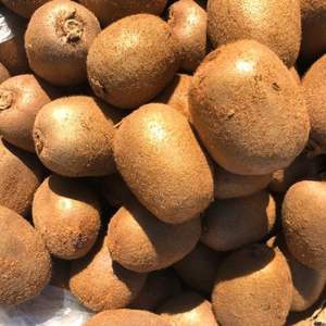 Fruits de kiwi à haute teneur en Brix 9,5+ Qualité export Mûrs Vente en gros Qualité supérieure Biologiques 100% Frais Variété Hayward - Product Image 3