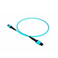 Câble Trunk en Fibre Optique DEKAM MTP MPO pour les opérateurs de télécommunications des Philippines