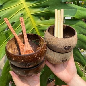 Meilleure vente Petits bols en coquille de noix de coco laquée écologiques Emballage personnalisé gravé au laser avec logo personnalisé Eco2go du Vietnam - Product Image 1