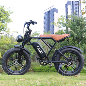Bicicleta Eléctrica de Montaña Europea con Llantas Gruesas de 20 Pulgadas, Motor V8 de 500W-1000W 750W, Bicicleta Eléctrica de Carretera de 48v - Product Image 2