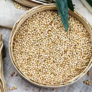 Por atacado painço amarelo para venda