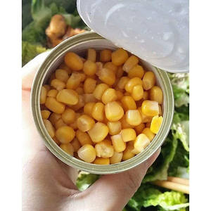 Maíz dulce de grano entero enlatado recién empaquetado para una preparación conveniente de la comida al mejor precio - Product Image 3
