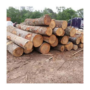 Leña de teca Africana lista para exportación suministrada a granel para mercados de combustible sostenible - Product Image 5