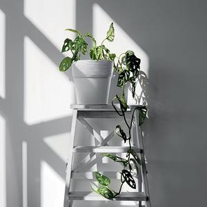 Vaso per piante FURU, dimensioni (mm) 178x178x180, colore Antracite - Product Image 4