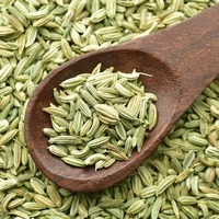 Fenouil aromatique naturel de qualité supérieure pour la cuisine, les tisanes et les recettes traditionnelles, disponible à un prix abordable