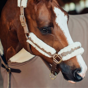 Alfombra de caballo transpirable impermeable, manta de caballo de nuevo diseño para montar, uso estable, precio bajo, OEM disponible, alfombras de caballo OEM - Product Image 6