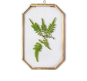 Cadre suspendu en laiton de décoration murale transparente octogonale pour l'affichage de fleurs séchées de plantes pressées pour la décoration - Product Image 1