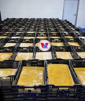 Premium IQF Diepvries Passievrucht Tropisch Fruit 100% Natuurlijk Vacuümverpakt door Viet Delta voor dranken, desserts en voedselverwerking