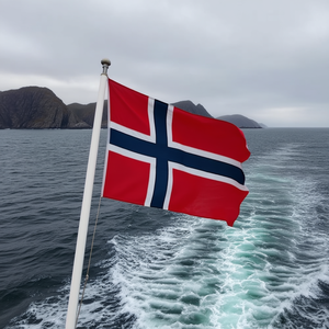 Norway <b>Flag</b> 80x135cm National <b>Flag</b> For Outdoor Use - Product Image 3