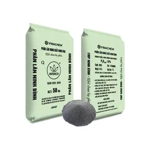 Fertilizante de fosfato de magnesio fundido Sandy Buen precio Suplementos Fertilizante para plantas Embalaje personalizado Fabricante de Vietnam