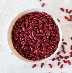 Livraison rapide en gros forme longue haricots rouges naturels et de qualité supérieure disponibles à la vente acheter aujourd'hui chez compétitif - Product Image 3