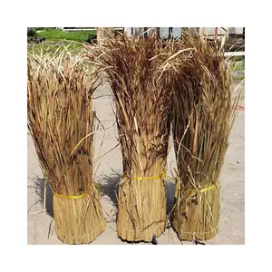 New Product Eco-Friendly Cogan Grass Tropical Thatch Roof Panels Dry Leave Use for Decoration Elysia 0084789310321