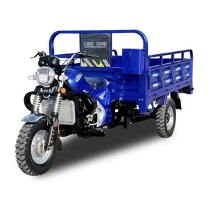 Triciclo Motorizado de Tres Ruedas de 250cc con Color Personalizado para Uso de Pasajeros, Carrocería Cerrada, 4 Pasajeros, 70Km/h - Product Image 1