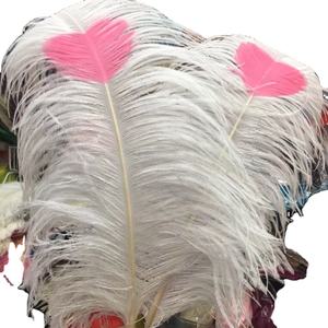 Turkey <b>Feathers</b> for Fly Tying Available in Raw and Dyed Patterns - Product Image 1