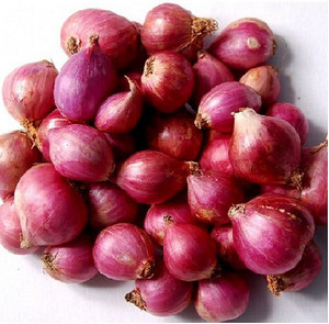 2025 Oignons rouges en vrac de qualité supérieure du Vietnam Oignon rouge frais exportation de gros produits agricoles - Product Image 3
