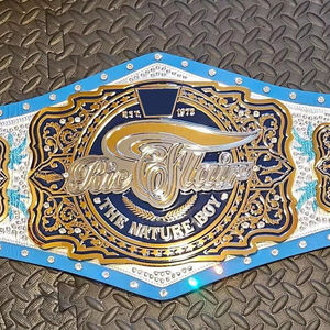 Cinturón de piel auténtica suave de 4mm de grosor pesado personalizado para lucha libre, trofeo de Premio de Artes Marciales duradero, parte delantera de desgaste de torneo - Product Image 1