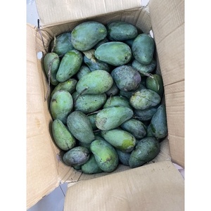 Proporciona frutas tropicales Mango Siamés (mango cristalino) Fruta deliciosa - Product Image 5