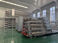 Nouveau système de cages à poules de type A pour l'élevage automatique de poules pondeuses, équipement avicole avec alimentation automatique pour la production d'œufs et gain de place