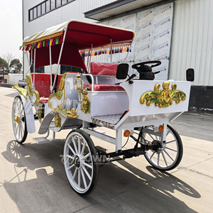 La más nueva escultura para bodas y visitas turísticas, carruaje tirado por caballos y carruajes de caballos eléctricos a la venta - Product Image 4