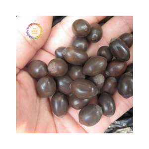 Vietnam Dried Black Lotus Seeds Premium Ingredient For Beverage <b>Dessert</b> And Food Processing Export - Product Image 6