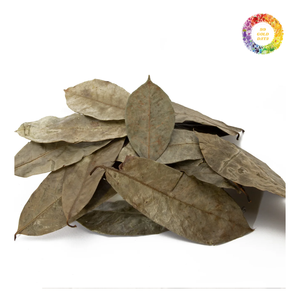 Feuilles de corossol (feuilles de Graviola), feuille de Graviola verte séchée pour les ventes, feuilles de corossol de Graviola séchées entières - Product Image 1