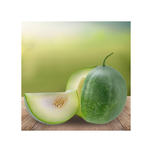 Wholesale Frozen White Gourd ideal for Asian cuisine and <b>ready</b> meals - Product Image 6