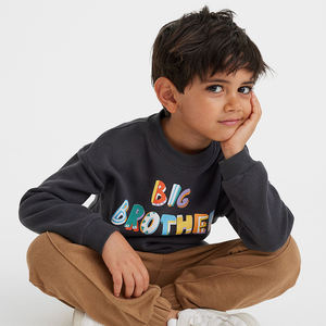 Automne hiver enfants enfants garçon sweats nouvelle saison printemps automne jeunesse enfants garçons pull coton - Product Image 2