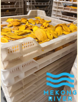 Mekong River Factory Premium Kwaliteit Gesneden Gedroogde Suikergevulde 100% Natuurlijke Zachte Gedroogde Mango voor Importeurs Wereldwijd