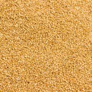 Variedad india de quinua de los valles de Uttar Prado que ofrece bondad sin gluten a los mercados africanos - Product Image 6