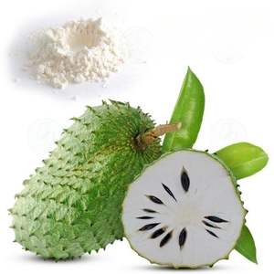 Poudre lyophilisée de fruit de corossol d'EXPAD du Vietnam pour l'exportation - Product Image 2