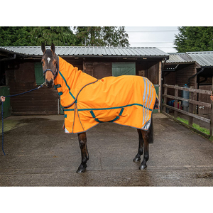Whitaker Seacroft 200g Reflective Winter Turnout - Product Image 2