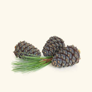 Huile Essentielle 100% Pure de Sapin Sibérien Bio Hydratante Éclaircissante Raffermissante & Nourrissante pour Soins Capillaires et Cutanés - Product Image 2