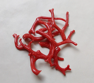 ¡Coral! Piedra preciosa de Coral italiano Natural 100%, ramas de palitos de Coral rojo, ramas de Coral bien pulidas de calidad AAA, palitos de Coral - Product Image 1