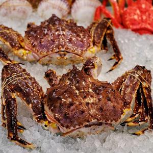 ปูกษัตริย์ทั้งตัว สดและแช่แข็ง ปูบลูและปูทะเลจากนอร์เวย์ เกรดอาหาร พร้อมตัวเลือกการตัด รับประกันอายุการเก็บรักษา 18 เดือน - Product Image 6