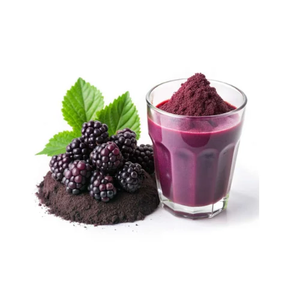 Bio Gefrier getrocknetes Brombeer pulver Brombeer pulver Brombeer saft pulver - Product Image 4