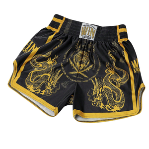 Shorts de Muay Thai Fairtex sur mesure de haute qualité, nouveau design imprimé, shorts de MMA pour la boxe professionnelle, vêtements d'arts martiaux - Product Image 2