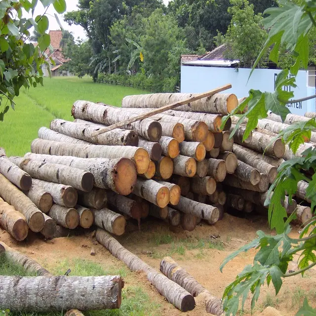 100% Pure Timber Logs Teak Wood / Oak Wood Logs / Pine Wood Logs