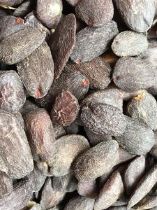 Graines et poudre de Picralima Nitida/Akuamma, produit agricole de qualité supérieure - Product Image 3