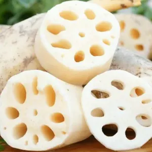 Wholesale Best Price Premium Quality Frozen Lotus Root from Vietnamese suppliers