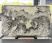 Dalle de quartzite Pandora Patagonia naturelle rétroéclairée, motif « Proud As a Peacock », pour panneau mural, table à manger et plan de travail d'îlot