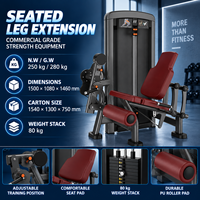 Appareil d'exercice pour les jambes à résistance réglable BN pour studio de fitness, centre de bien-être, machine d'extension des jambes assise