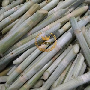 Venta caliente de caña de azúcar congelada caña de azúcar dulce mejor calidad precio barato de Vietnam disponible a granel - Product Image 1