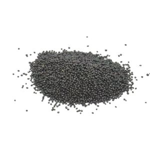 Nouveau produit de haute qualité : Graines d'épinards standard BCA, qualité supérieure, best-seller, vente en gros d'Indonésie (Jember), durée de conservation de 6 mois - Product Image 5