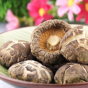 Champignons Shiitake séchés du Vietnam |   Distribution en gros commerciale - Product Image 4