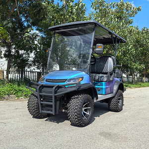 Carro de Golf Usado en Excelentes Condiciones - Product Image 1