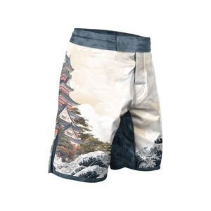 Vêtements de boxe personnalisés par sublimation, shorts de MMA pour hommes, vêtements d'arts martiaux, vêtements d'entraînement physique, shorts professionnels avec service OEM - Product Image 2