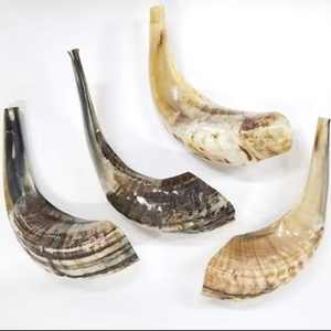 Cuerno de carnero de alta calidad Shofar Cuerno natural Shofar para soplar en Rosh Hashanah Calidad superior Kosher Shofar Kudu Cuerno de carnero pulido - Product Image 5