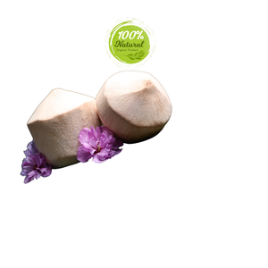 Diamant de noix de coco-Le secret de la santé intérieure - Product Image 3