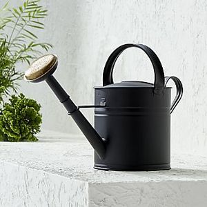 Regadera de Lujo de Diseño Antiguo y Alta Calidad para Jardinería y Plantas - Product Image 4