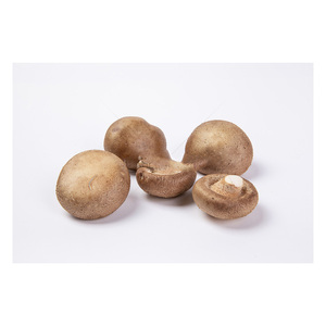 Champignon fraîchement congelé adapté aux supermarchés et aux emballages de vente au détail - Product Image 5